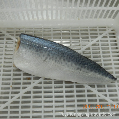 Frozen Mackerel Fish Fillet Product